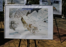 IMG_8496.jpg