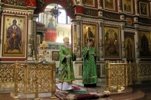 IMG_9654.jpg