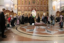 IMG_9860.jpg