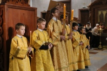 IMG_9982.jpg