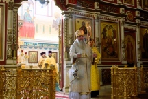 IMG_9995.jpg